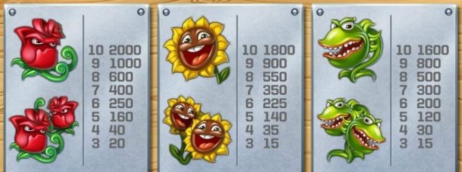 Tabela de Pagamento do jogo caça-níqueis Flowers