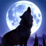 Símbolo curinga do jogo de cassino  Wolf Moon