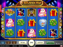 Jogo sem registro Cats and Cash online