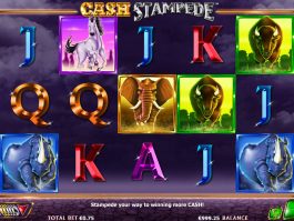 Cash Stampede