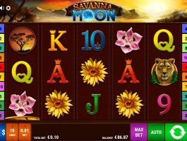 Foto do jogo de cassino online Savanna Moon